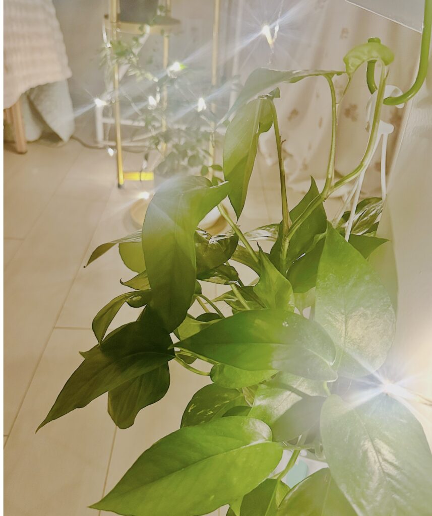 合同会社アシステンシアのサロン風景